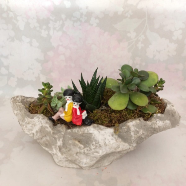 Cactus variety in a canoe-shaped planter Resim 1