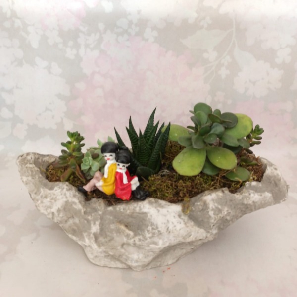 Cactus variety in a canoe-shaped planter