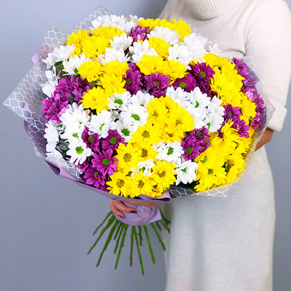 Çok Renkli Kasımpatı Buketi Resim 1