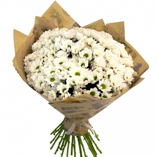 White Daisy Bouquet Resim 1