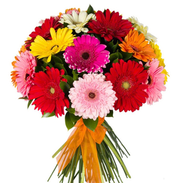 Colorful Gerbera Bouquet Resim 1