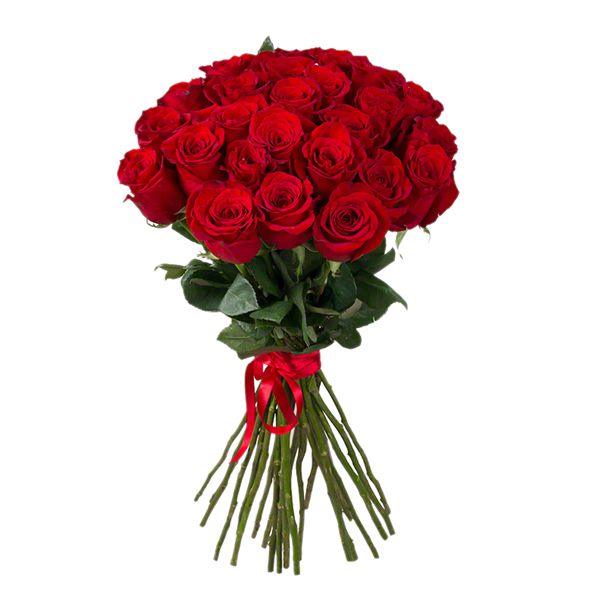 24 Rote Rosen Bouquet