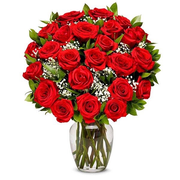 24 Red Roses in Vase Resim 1