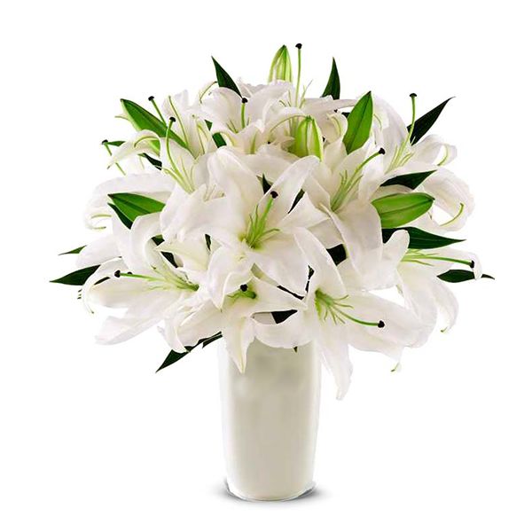 Weiße Lilien in Vase Resim 1
