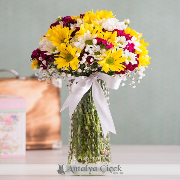 Daisy Arrangement