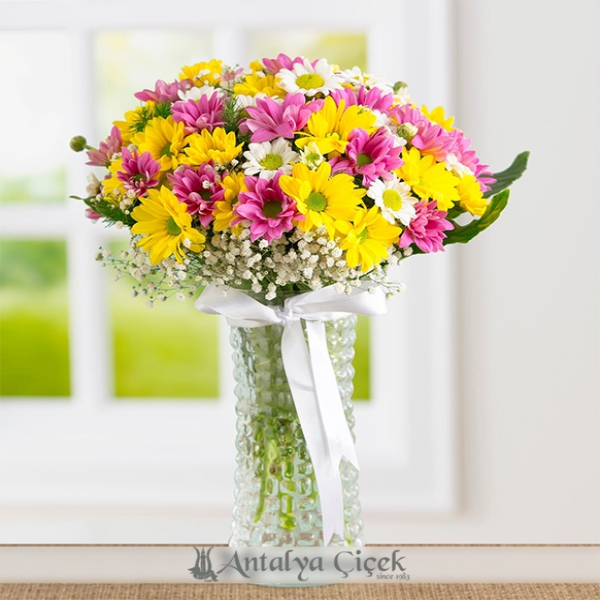 Vazoda Papatya Aranjmanı Resim 1