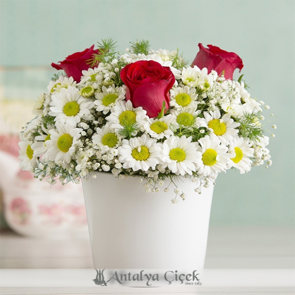 Red Rose and Daisy Arrangement