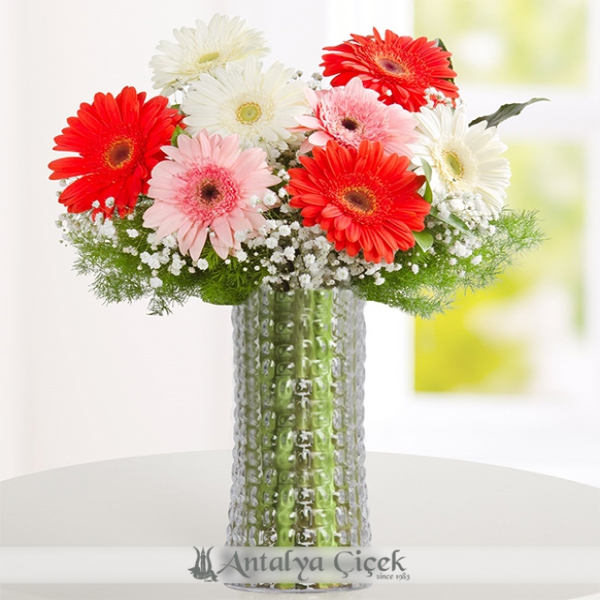 Traum Prinzessin Gerbera Arrangement