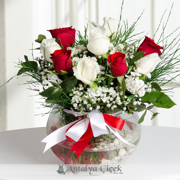 Aşk Küresi Kırmızı Ve Beyaz Güller Resim 2