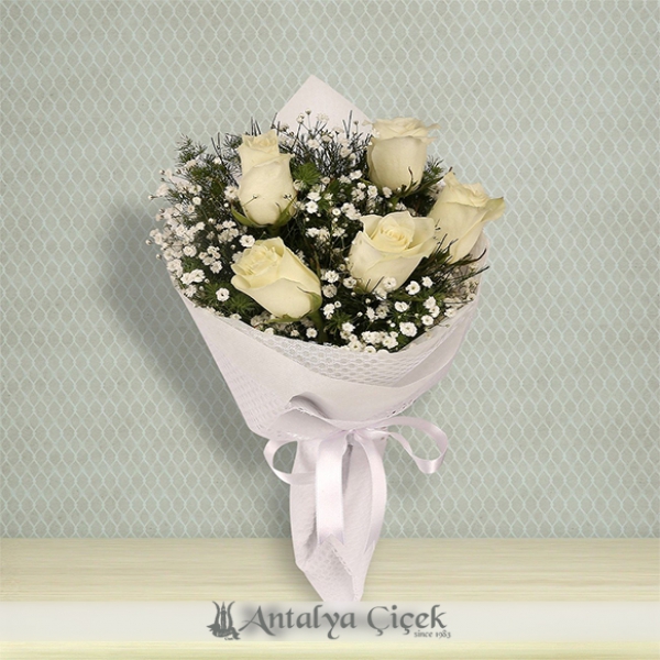 5 white roses 